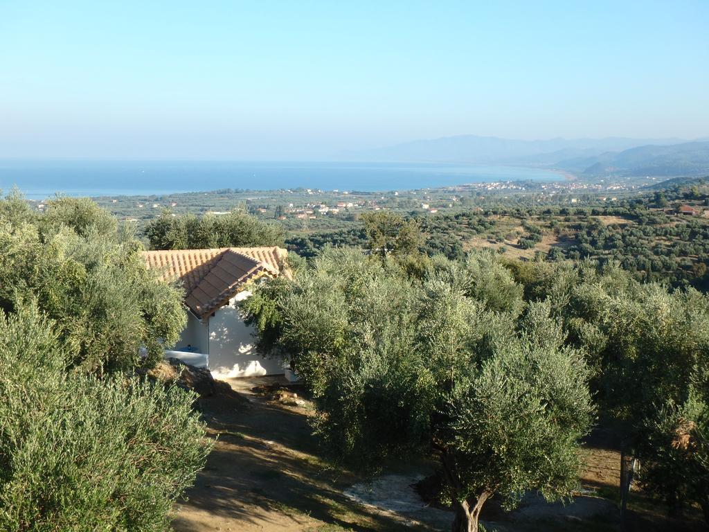 Ferienhaus Olive Garden Kyparissia Bagian luar foto