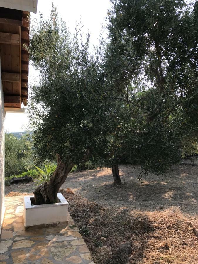 Ferienhaus Olive Garden Kyparissia Bagian luar foto