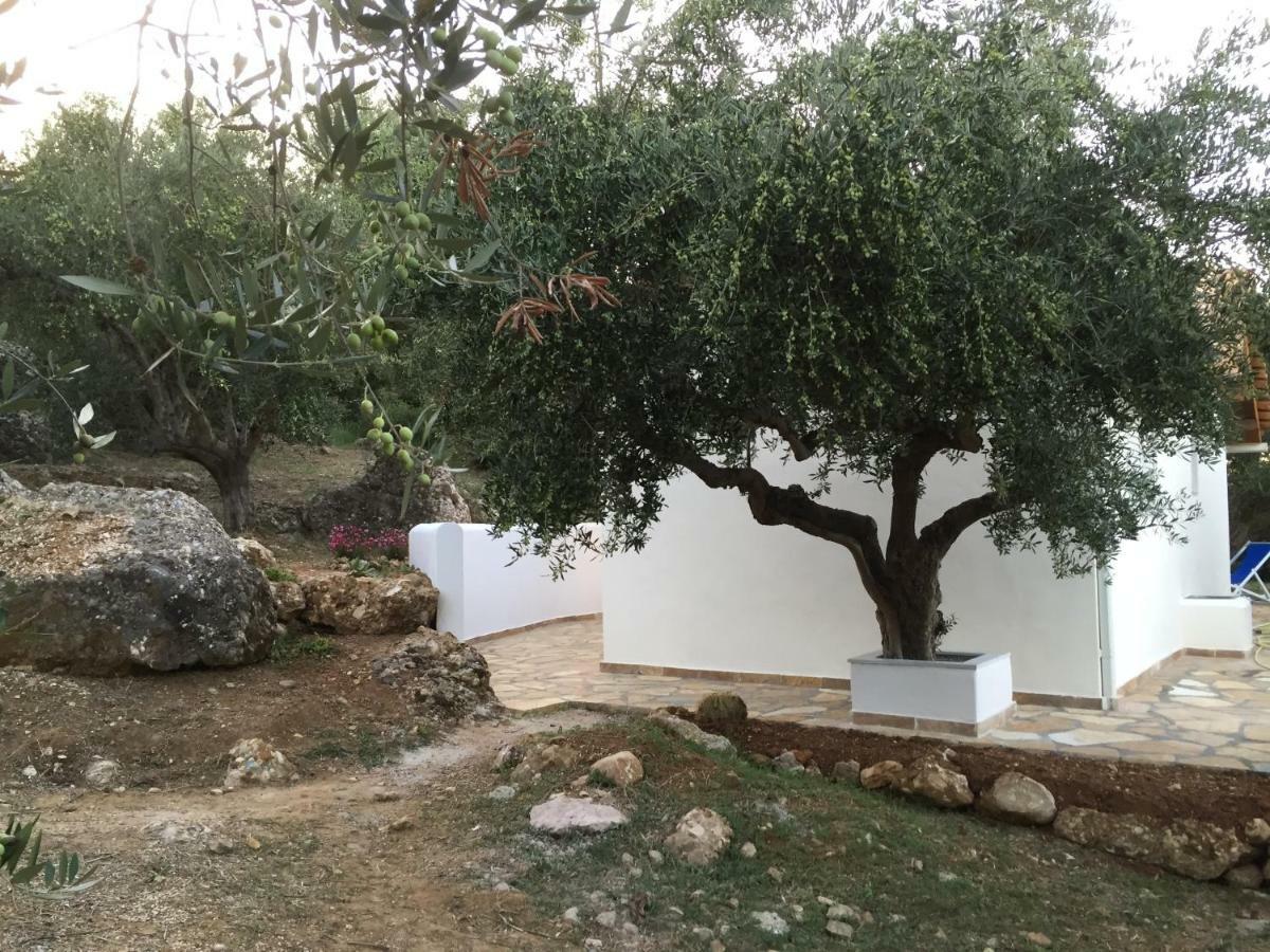 Ferienhaus Olive Garden Kyparissia Bagian luar foto