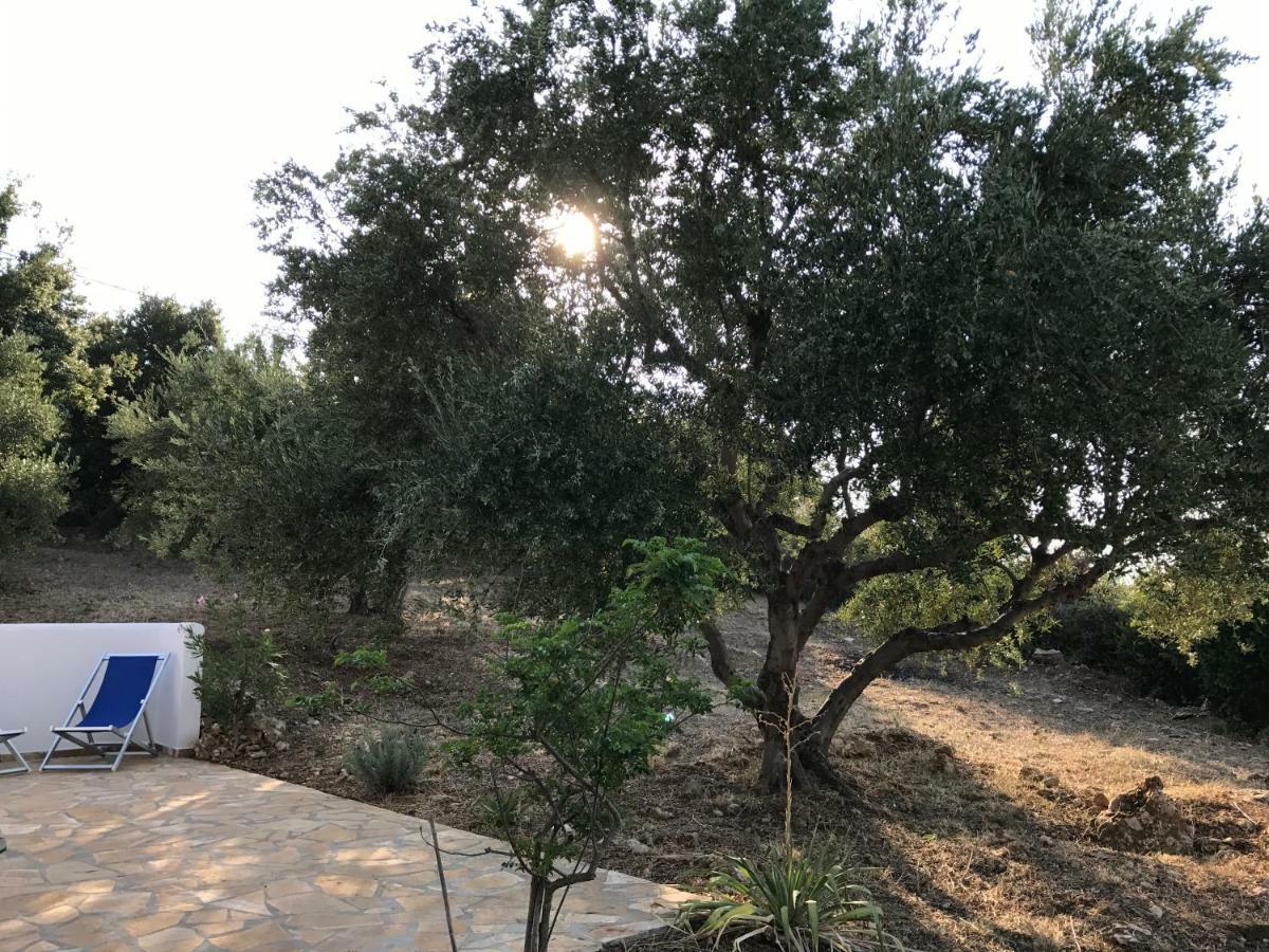 Ferienhaus Olive Garden Kyparissia Bagian luar foto